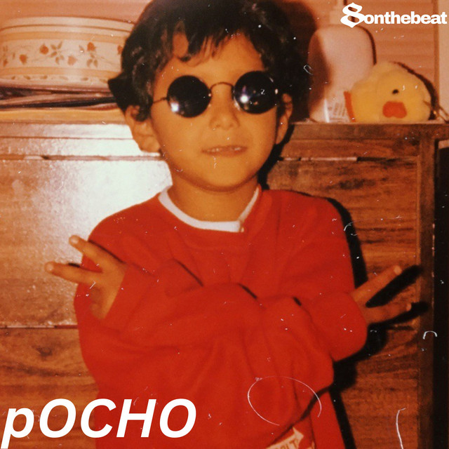 pOCHO cover art