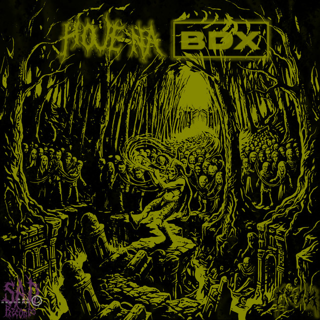 Hoje na bdx