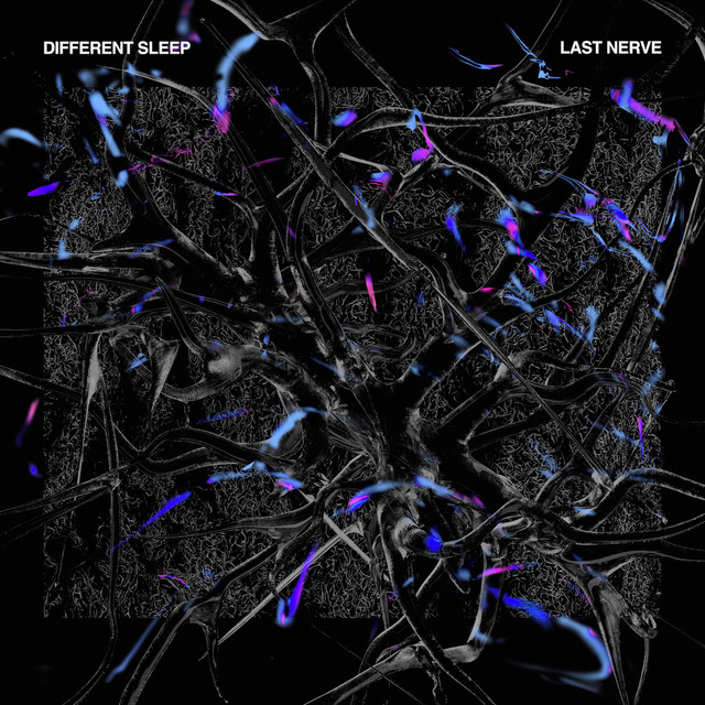 Lost Profit cover art