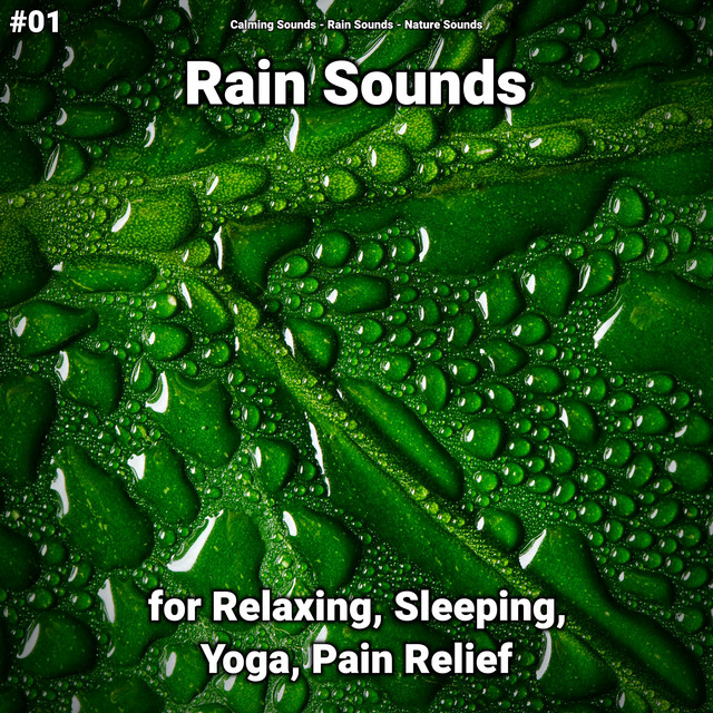 #01 Rain Sounds for Relaxing, Sleeping, Yoga, Pain Relief cover art