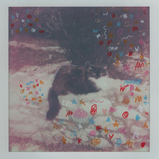 cats pt. 2 album image