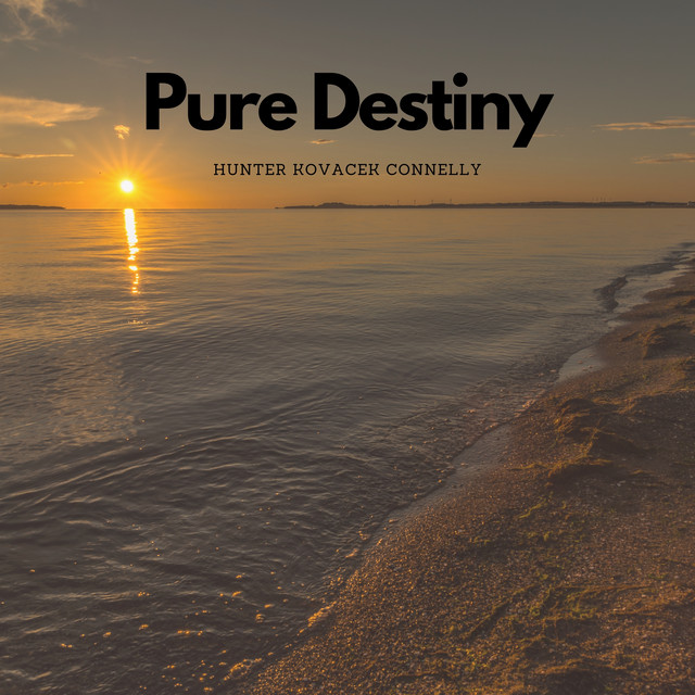Pure Destiny - Single by Hunter Kovacek Connelly | Spotify