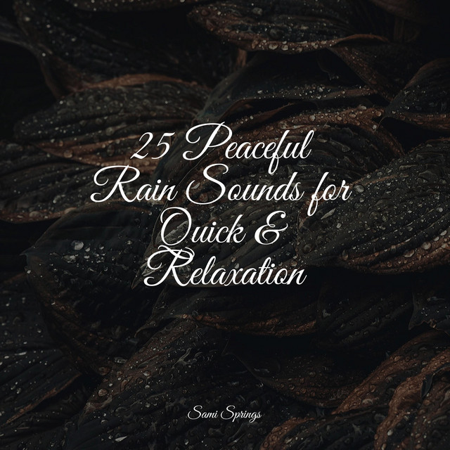 25 Peaceful Rain Sounds for Quick & Relaxation - Album by Nature ...