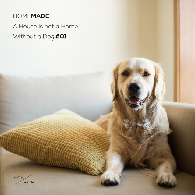 A House Is Not A Home Without A Dog #01 cover
