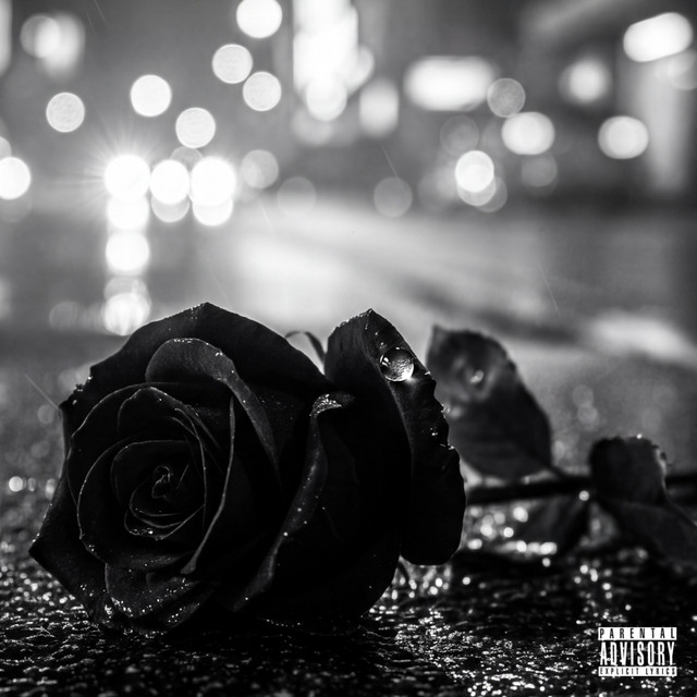 Company cover art