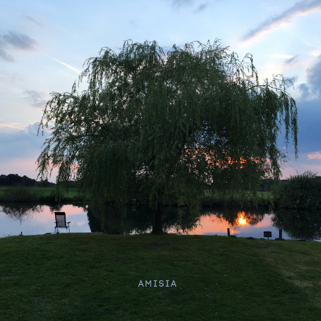 Amisia cover art