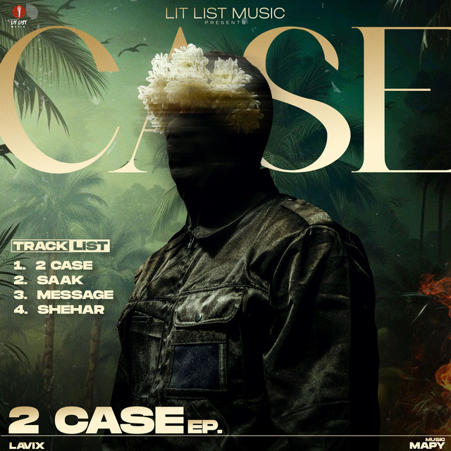 2 Case cover art