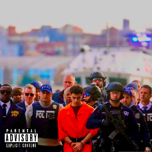 Gun cover art