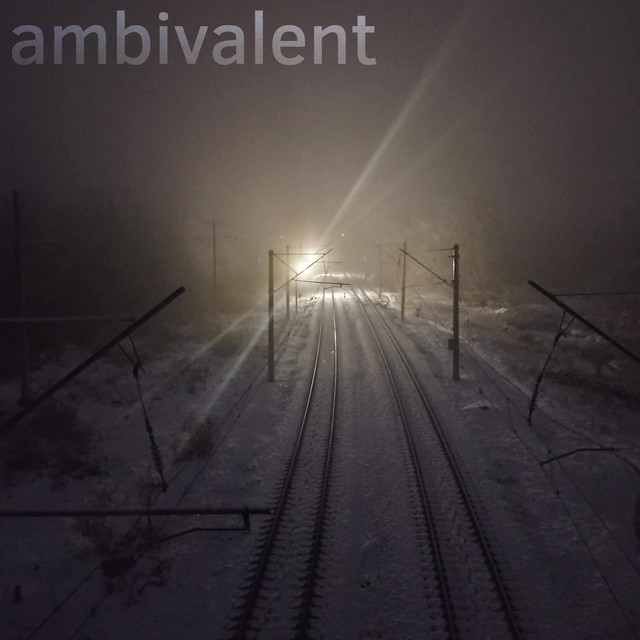 Обкладинка: ambivalent — Anal Disfunction