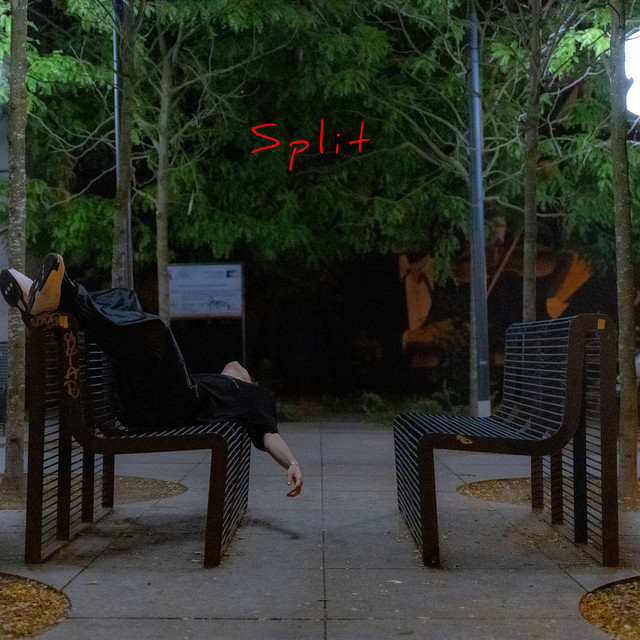 Split cover art