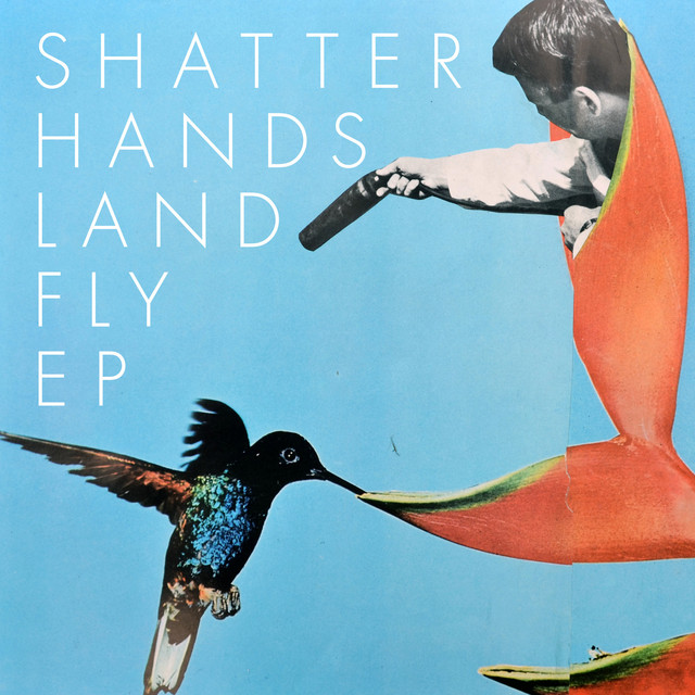 Land Fly cover art