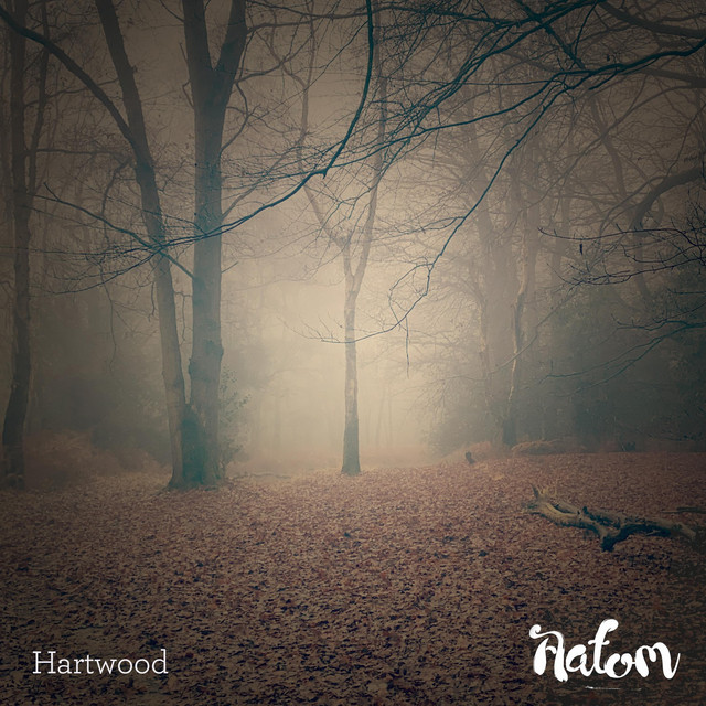 Hartwood