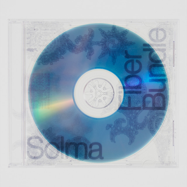 Fiber Bundle cover art