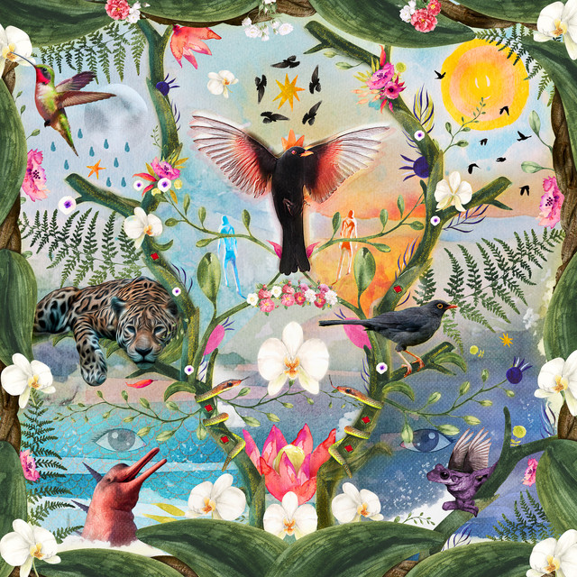 undefined album image