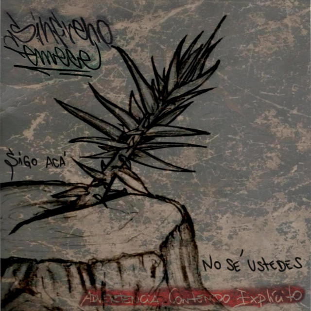 Sigo Acá, No Sé Ustedes. cover art