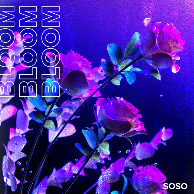 bloom cover
