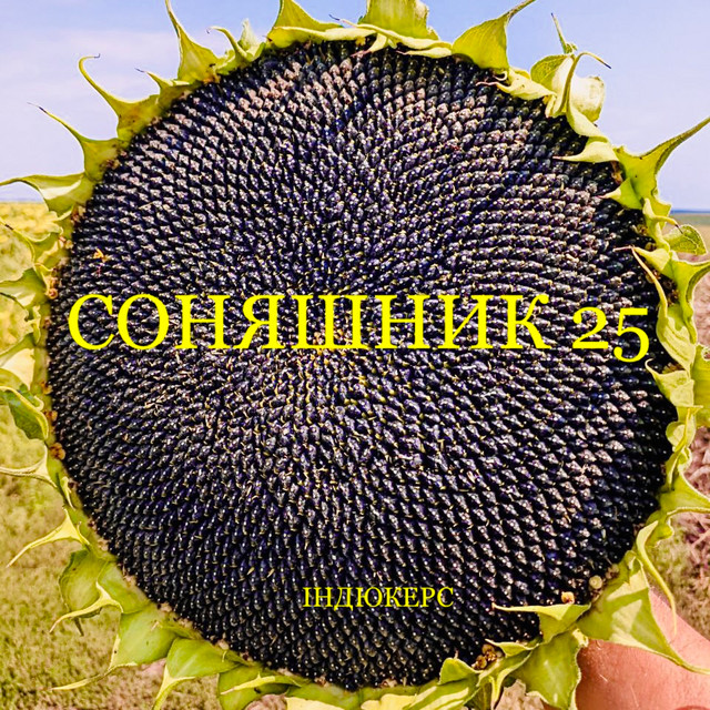 Обкладинка: Соняшник 25 — індюкерс