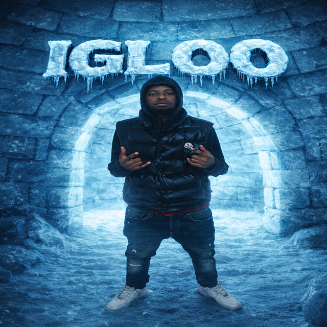 Igloo cover art