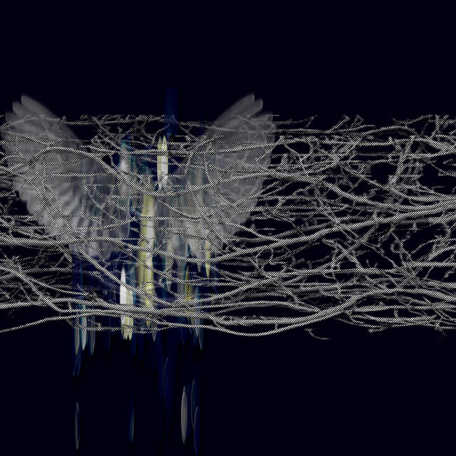 sparrow