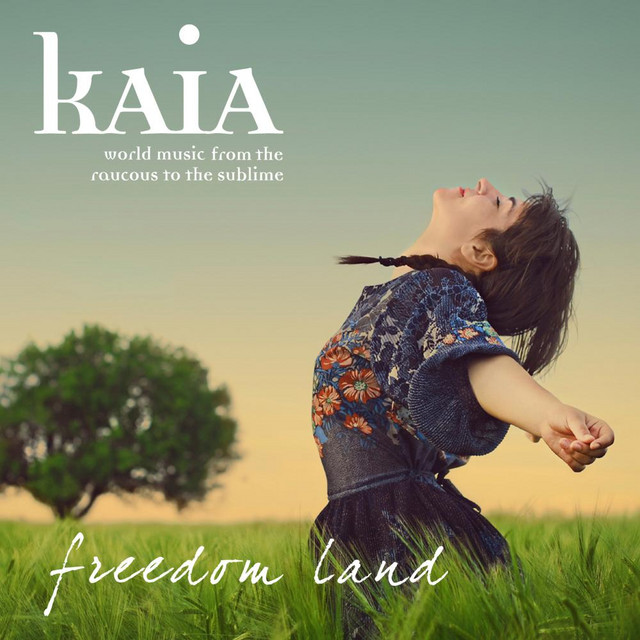 Freedom Land cover art