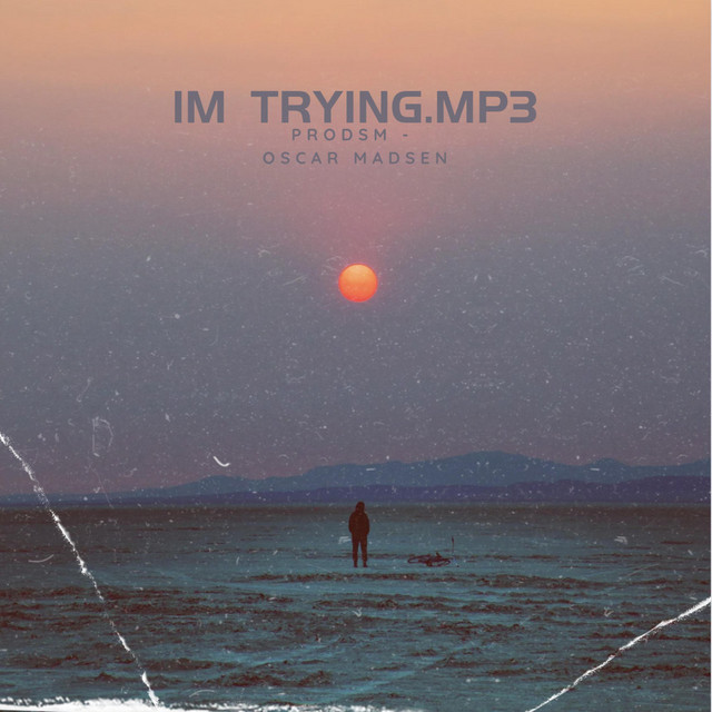 im.trying.mp3 cover art