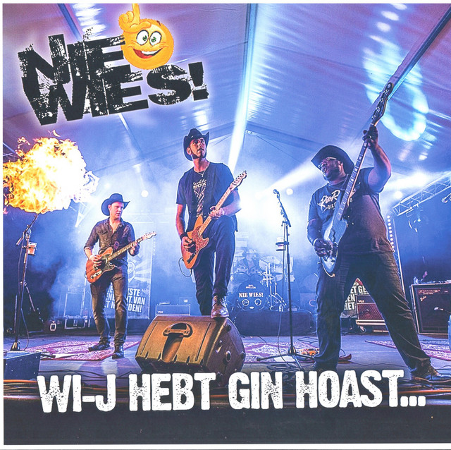 Wi-j hebt gin hoast cover