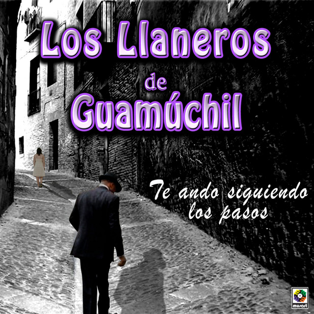 Te Ando Siguiendo Los Pasos cover art