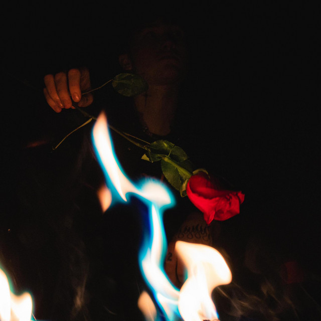 Twin Flames cover art