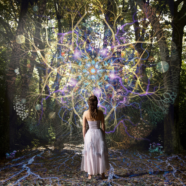 Patterns of Remedy cover art