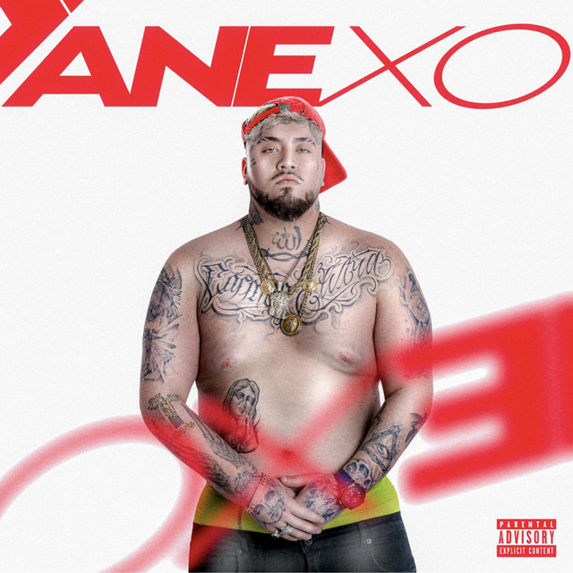 Anexo cover art