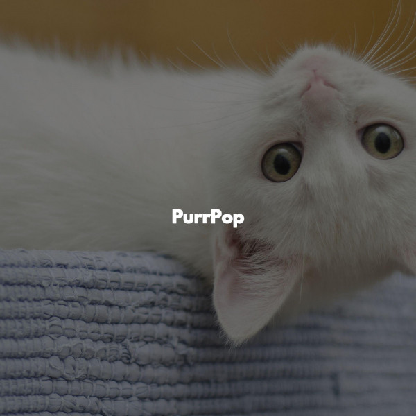 PurrPop cover art