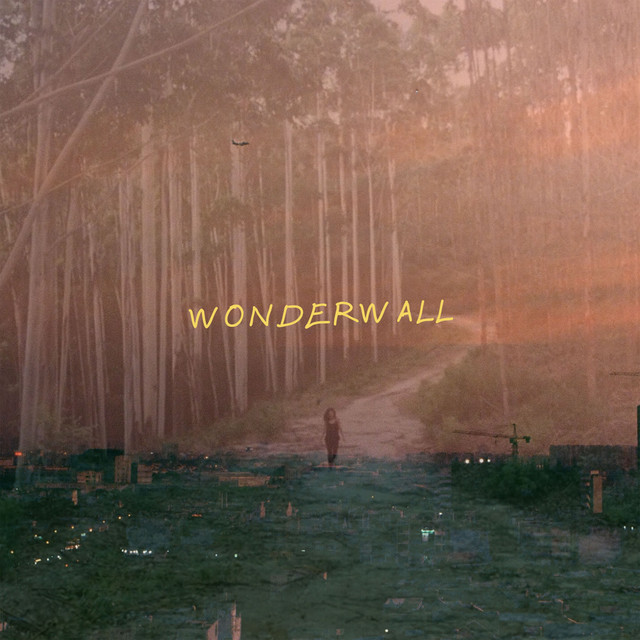 Wonderwall cover art