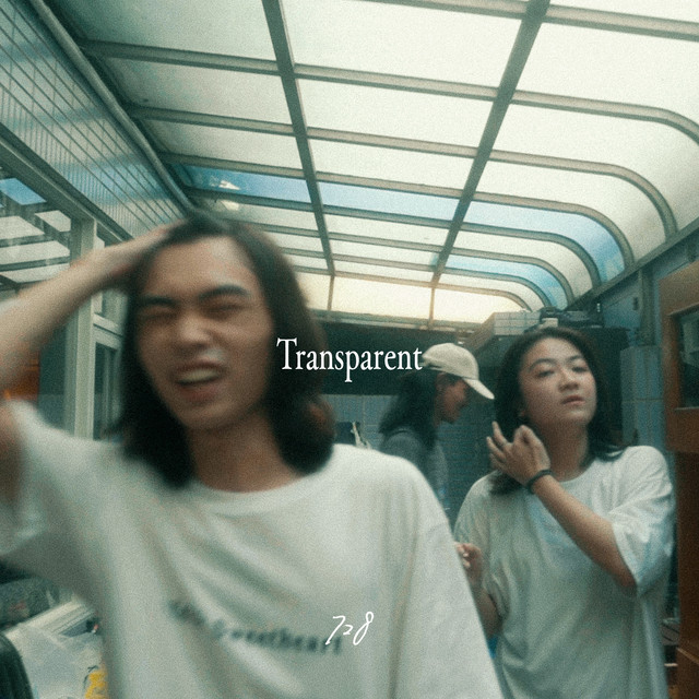 Transparent cover art