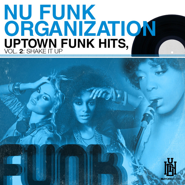 Feels Right - song and lyrics by Nu Funk Organization | Spotify