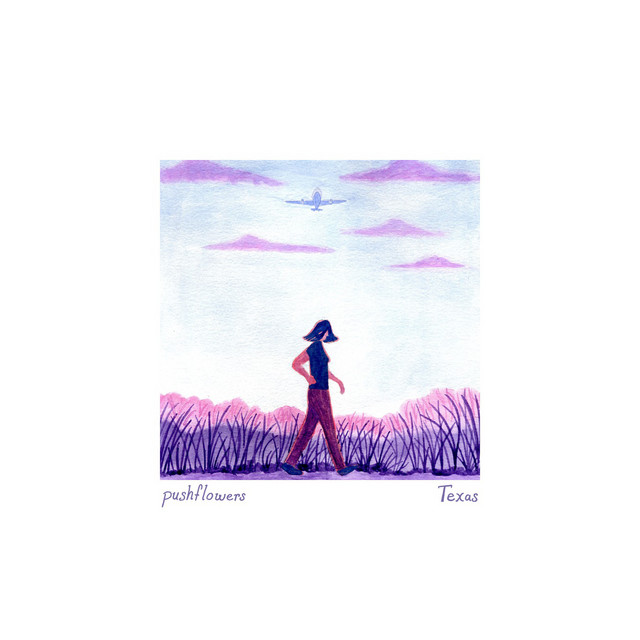 Texas cover