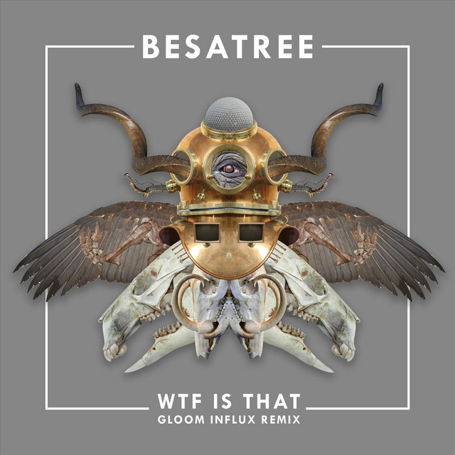 WTF Is That (Remix) cover