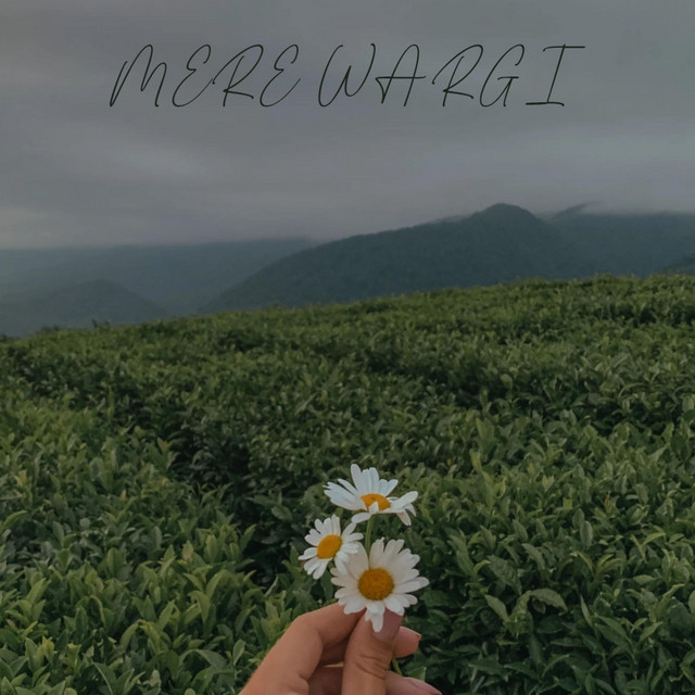 Mere wargi (remix) cover art