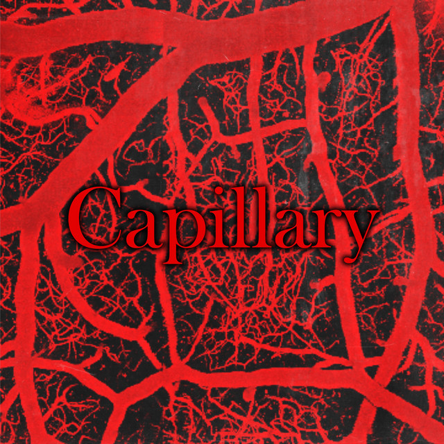 Capillary cover art