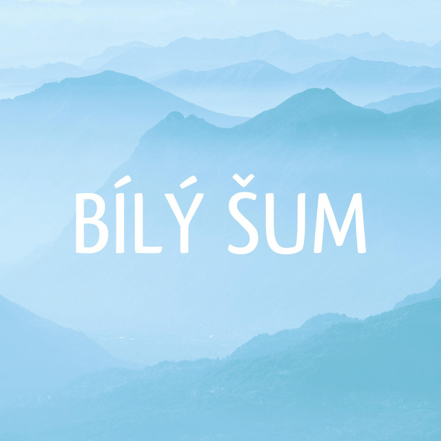 Bílý Šum cover art
