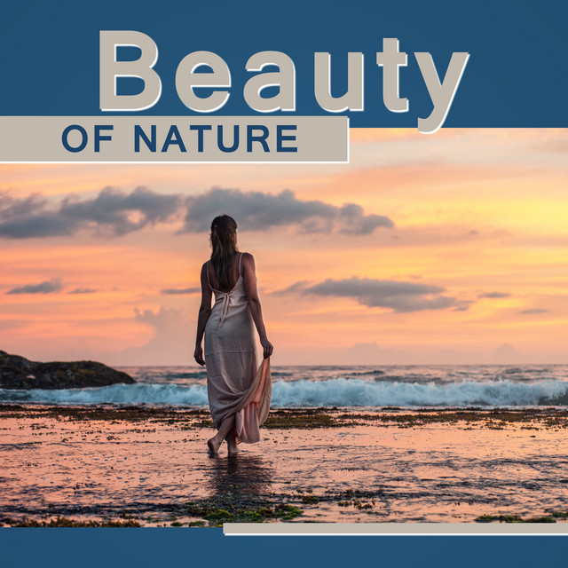 Beauty of Environment cover art