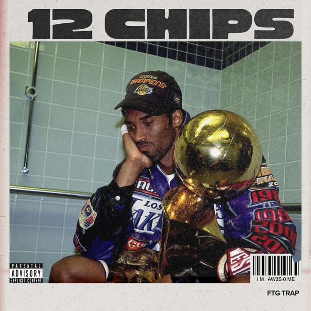 12 Chips