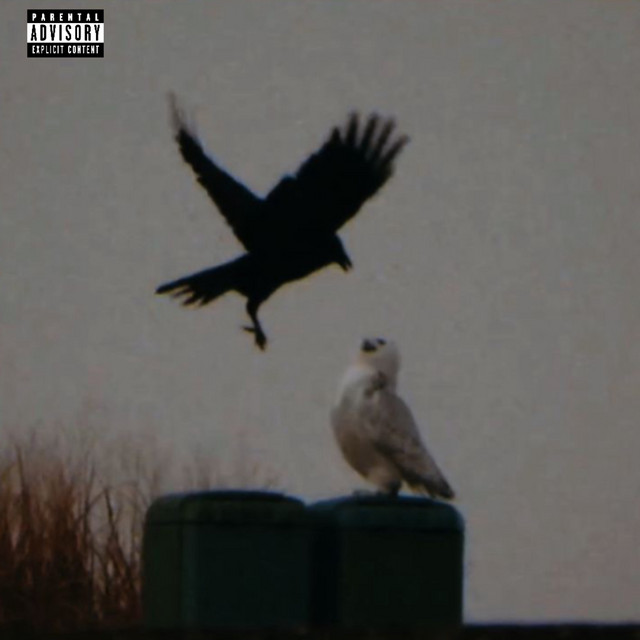 2 Raven