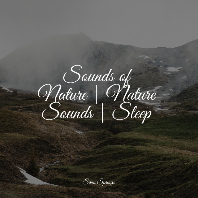 Sounds of Nature | Nature Sounds | Sleep - Album by Namaste Yoga | Spotify