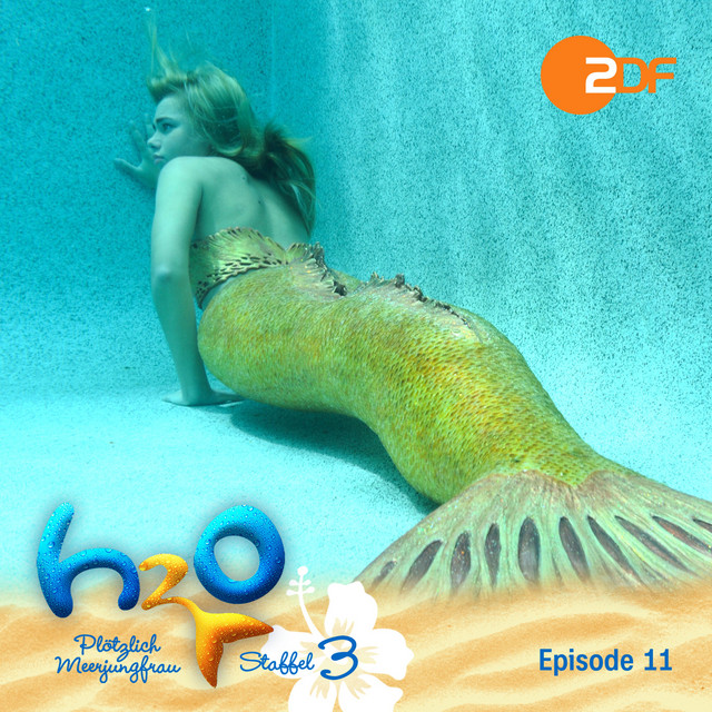 Staffel 3, Episode 11: Rikko, der Clown (Das Original-Hörspiel zur TV-Serie) cover