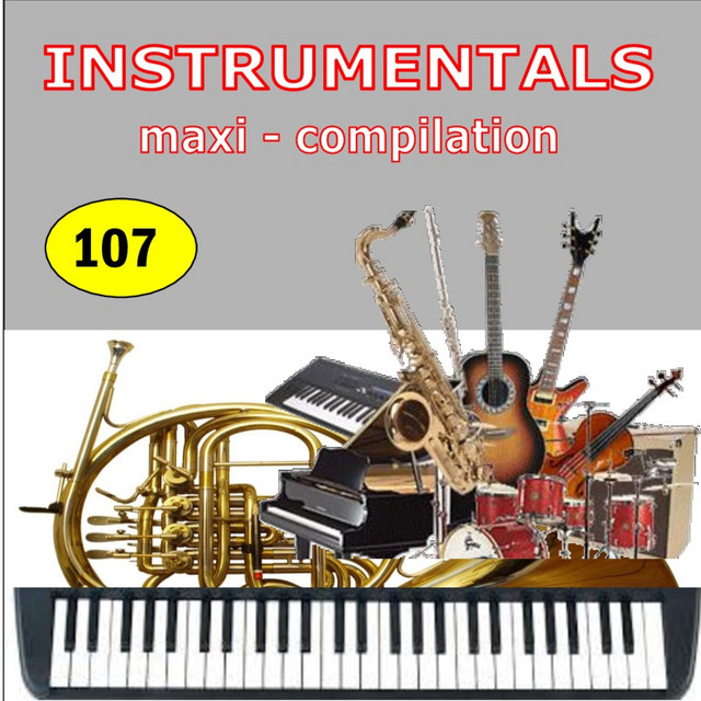 Instrumentals Maxi-Compilation 107 cover