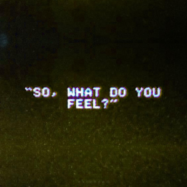 "so, what do you feel?" (extended version) cover art