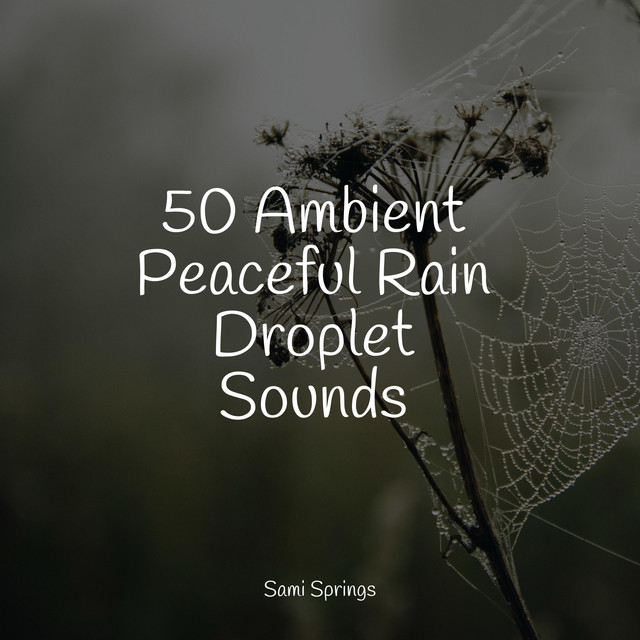50 Ambient Peaceful Rain Droplet Sounds - Album by Sleep Music System ...