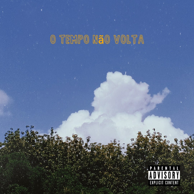 O Tempo Não Volta cover