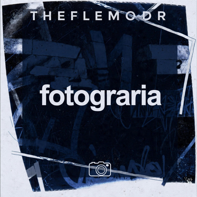 The flemoDR