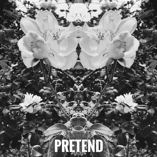 Pretend cover